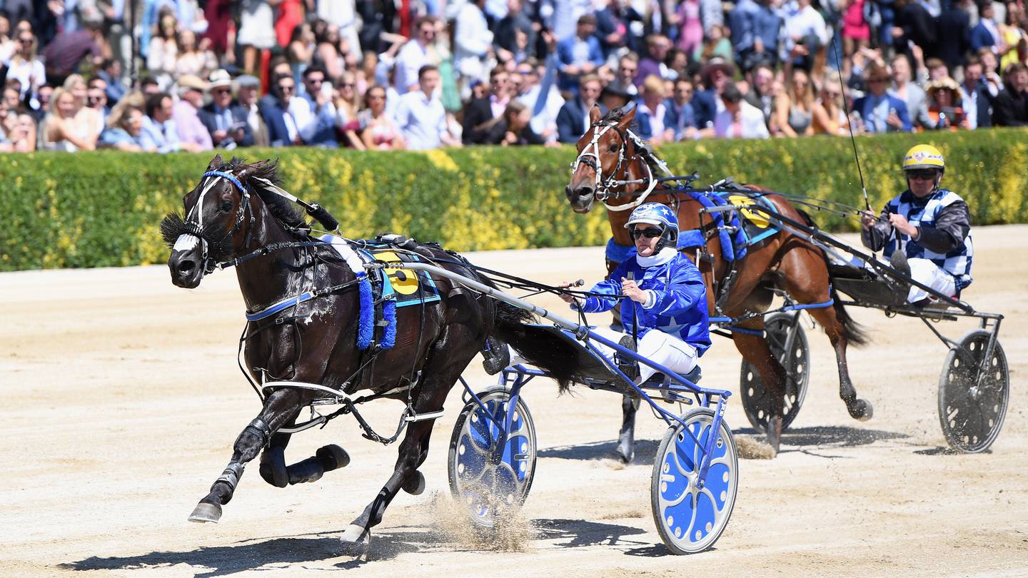 Natalie Rasmussen and Ultimate Sniper won the New Zealand Trotting Cup last year. Photo: NZH