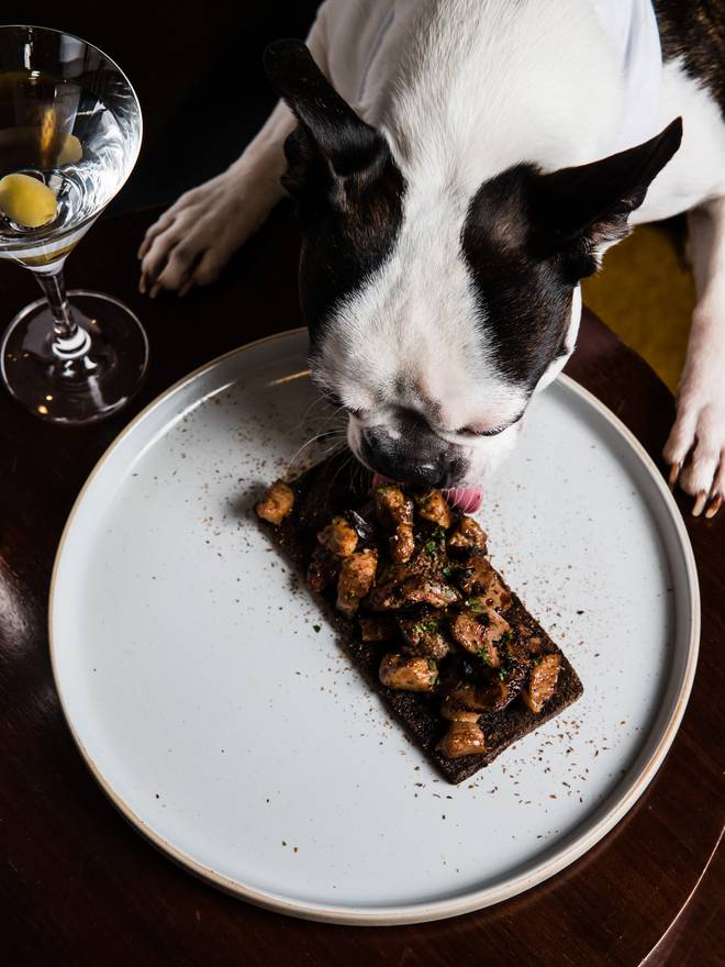 Jiwon Do has created a special menu for canine guests. Photo: Supplied via NZH