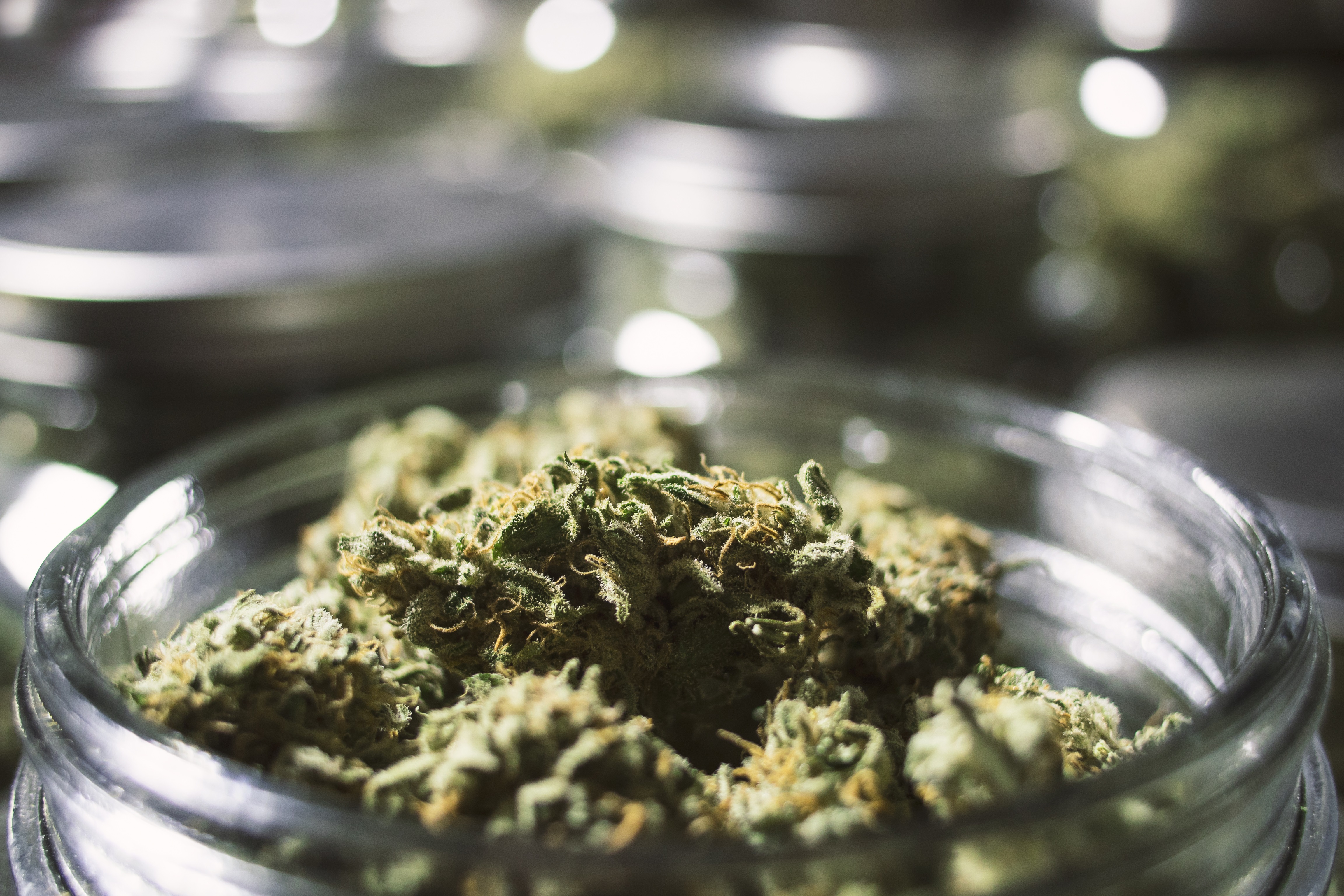 cannabis-istock.jpg