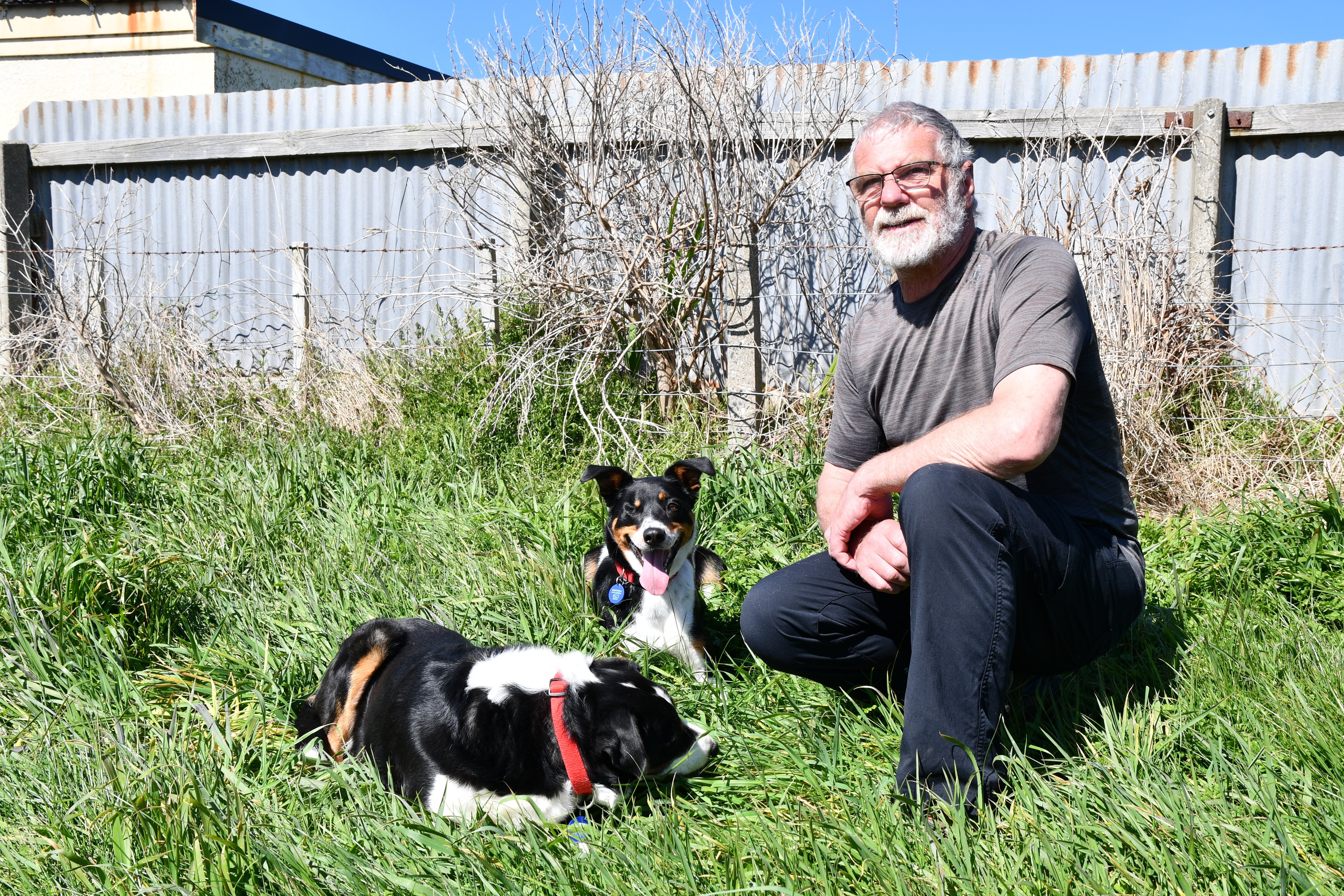 all dogs have their day