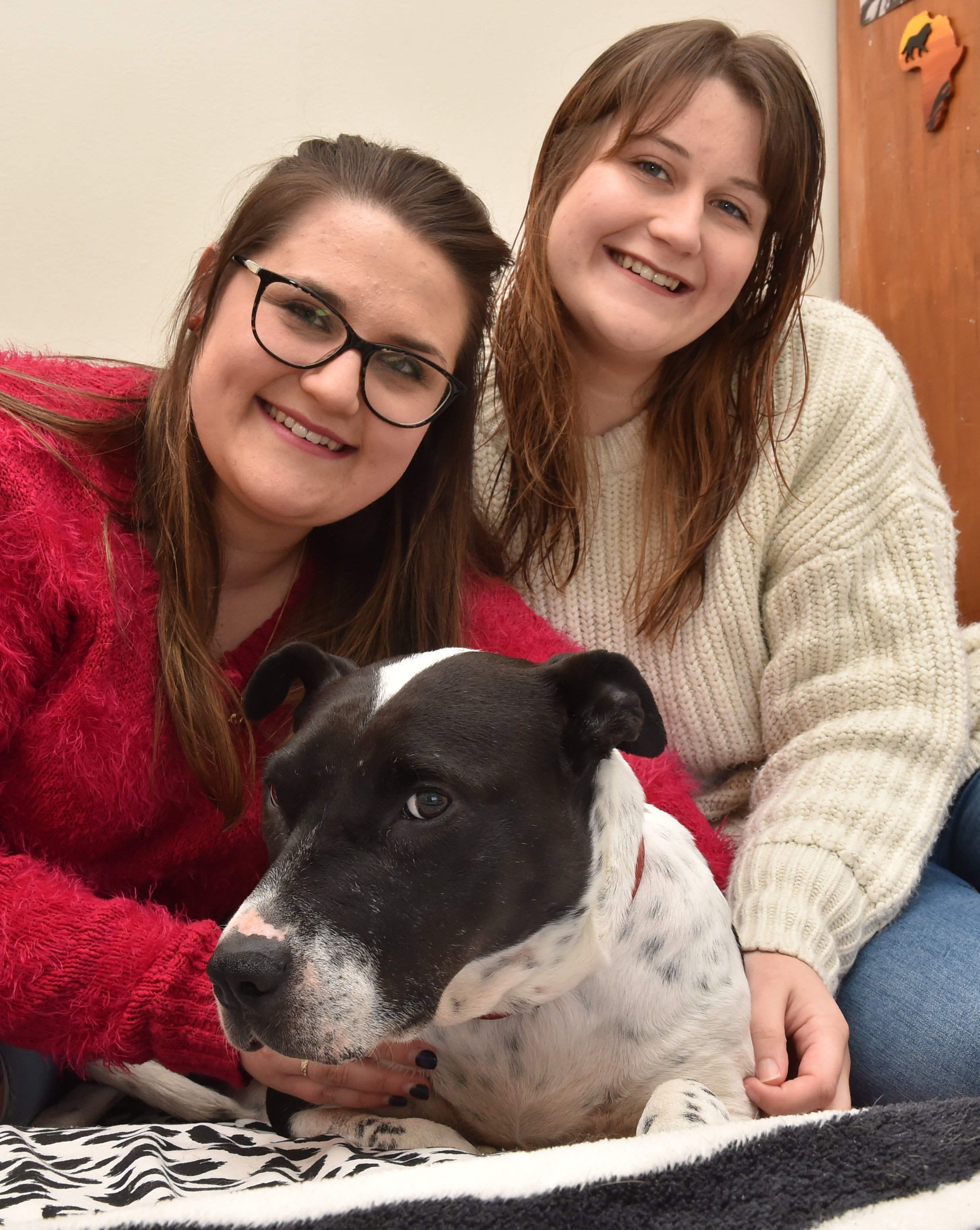 Caitlin (left) and Georgia Thompson comfort Lou, an injured dog shot with an arrow in Southland....