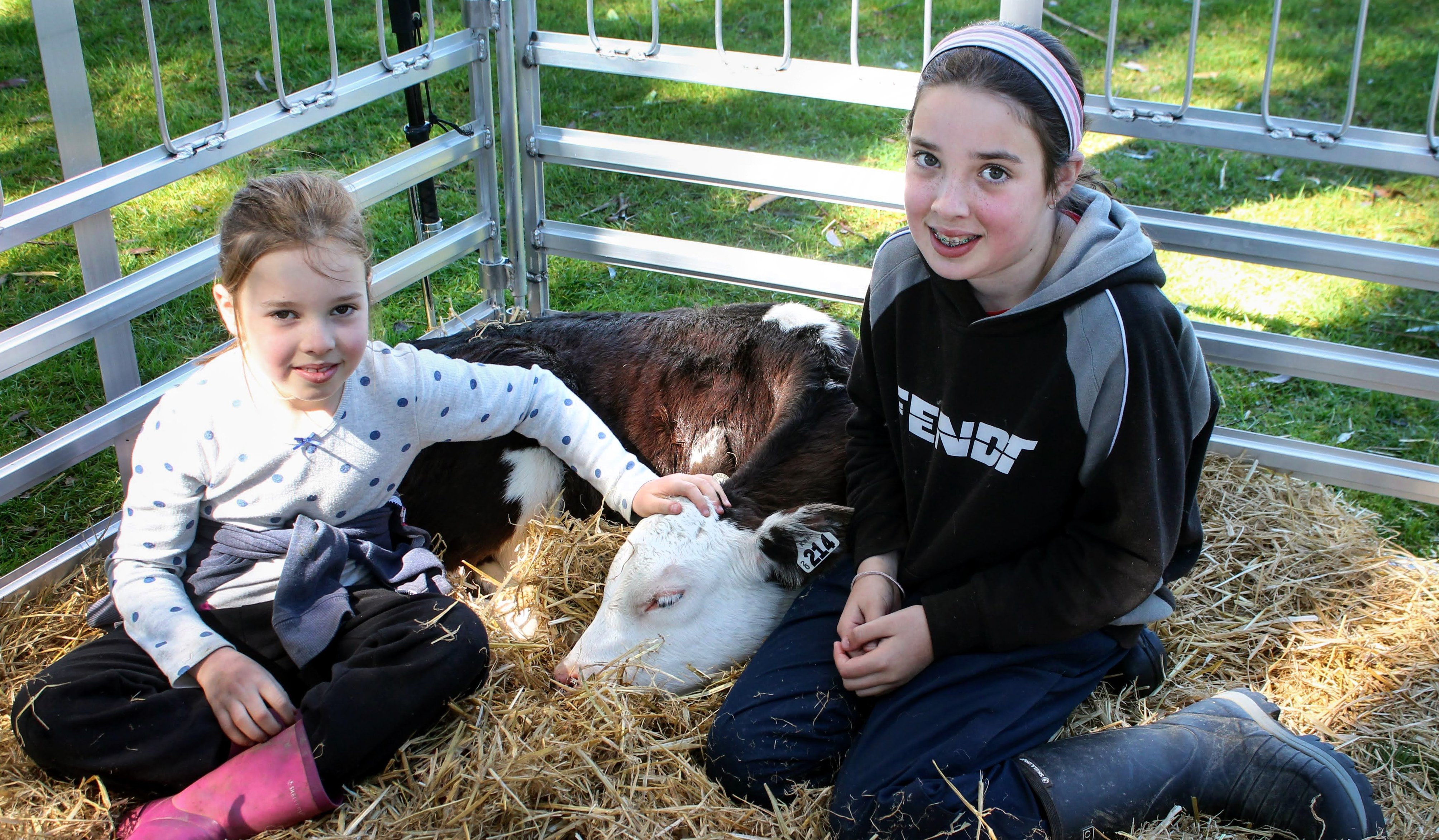 Hannah (7) and Charlotte (11) Hunt cuddle Willow, their pet calf.