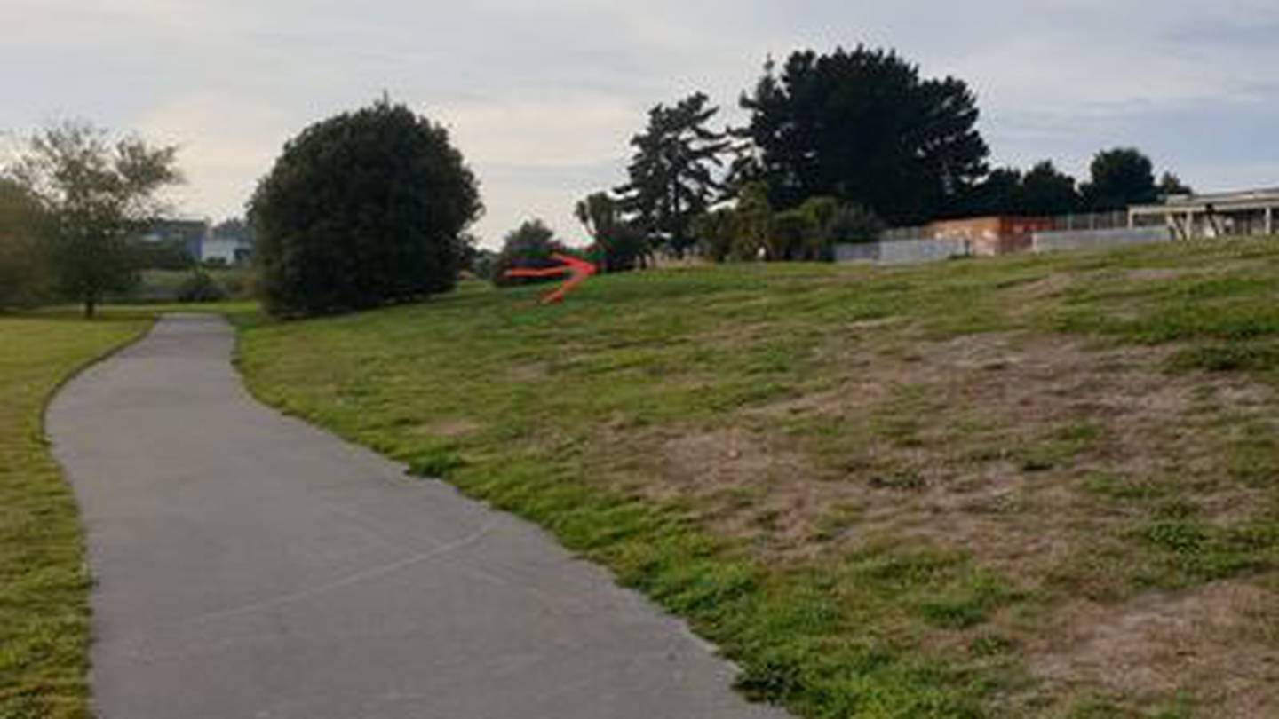 Arthur Adcock Memorial Reserve. Photo: Supplied via NZH