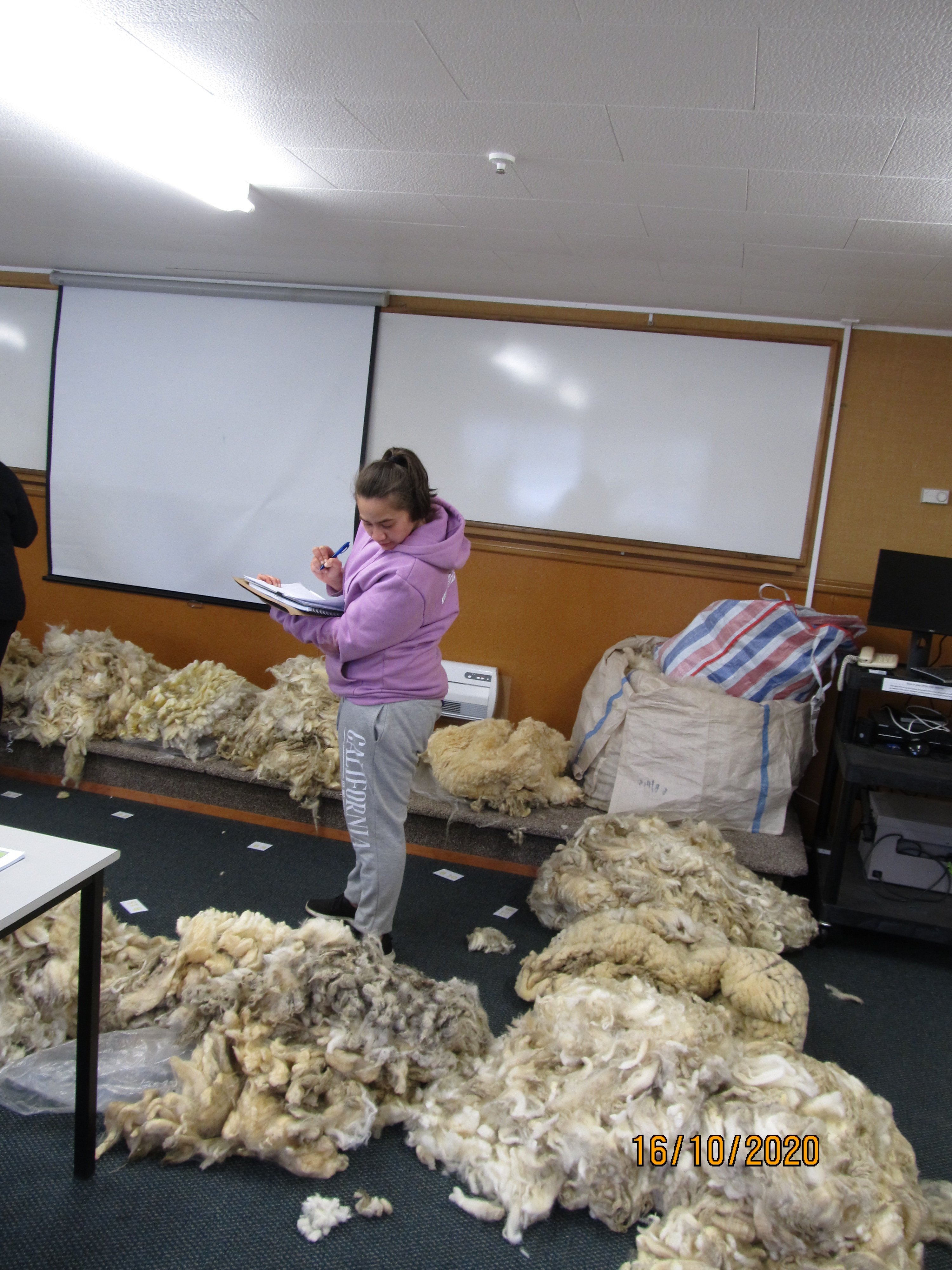 Larnie Morrell, of Alexandra, was one of 14 participants attending the new wool clip ...