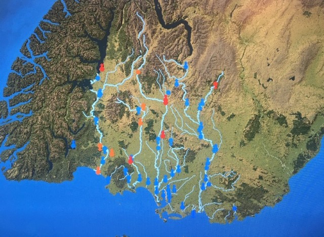 Image: Environment Southland