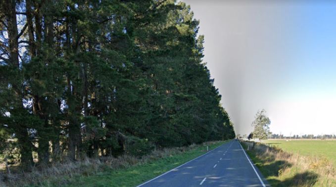 The Christchurch man punched a contractor over tree-trimming. Photo: Google