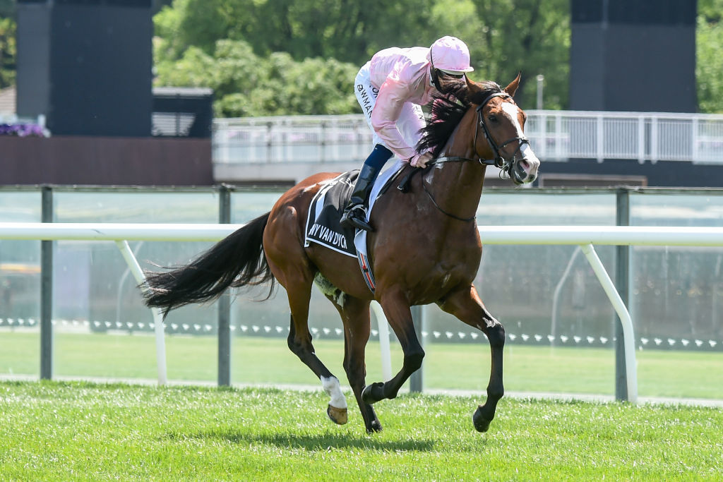 Anthony Van Dyck ridden by Hugh Bowman before the Melbourne Cup race at Flemington Racecourse...