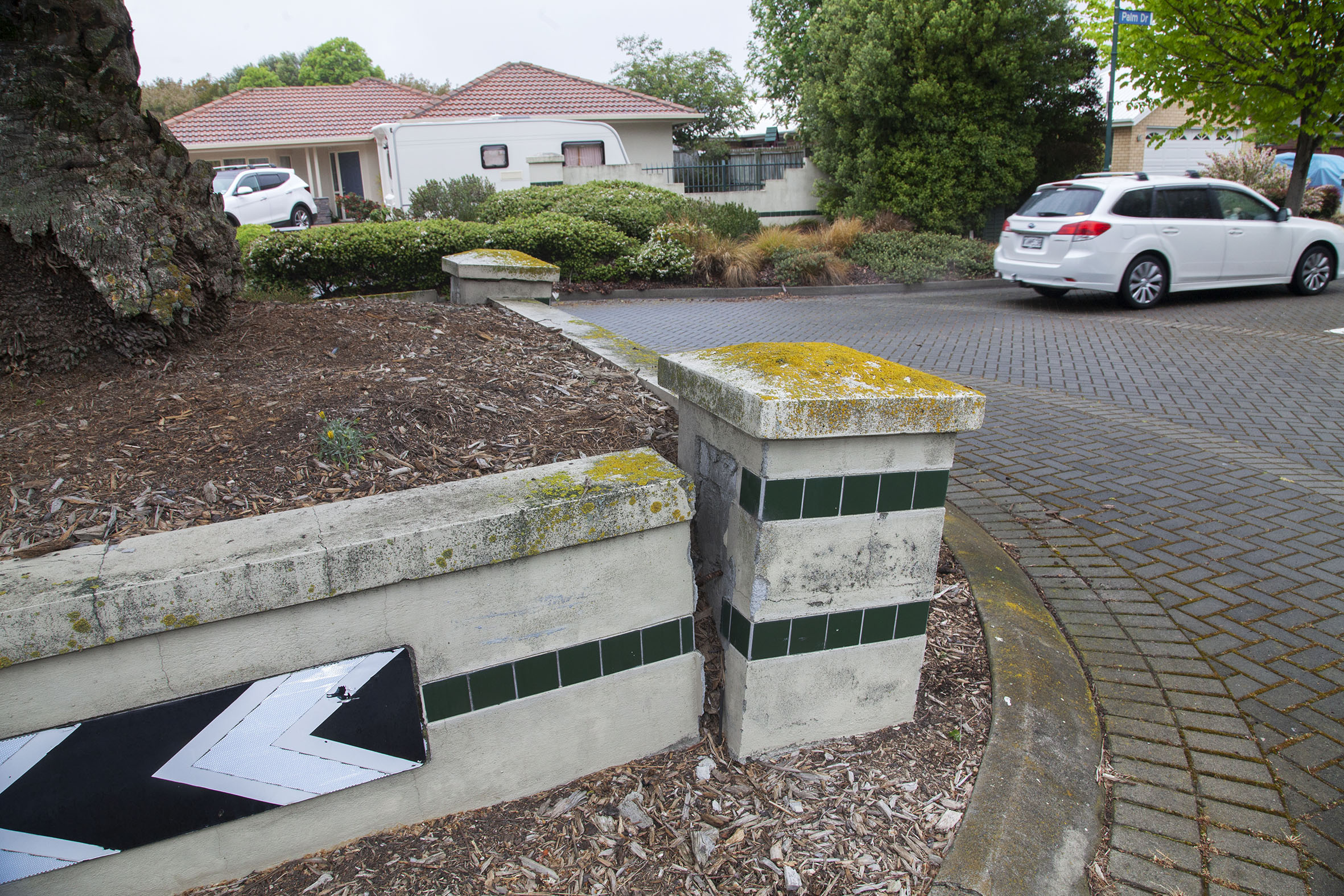 The palm tree on the corner of Palm Drive and Laguna Gardens. Photo: Geoff Sloan