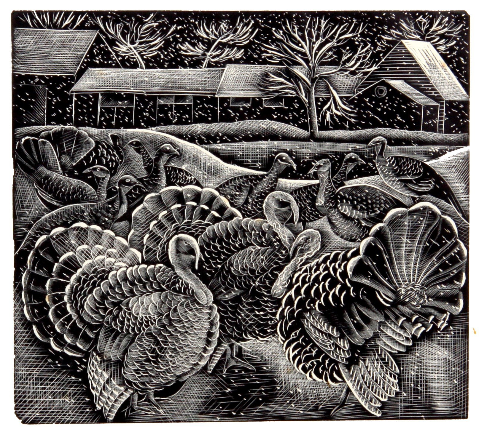 Turkeys in the Snow, (1930), wood engraving on paper, by Mary Groom. PHOTO: COLLECTION OF THE...