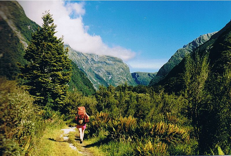 milford_track_jpg_50ed1e5ab0.jpg