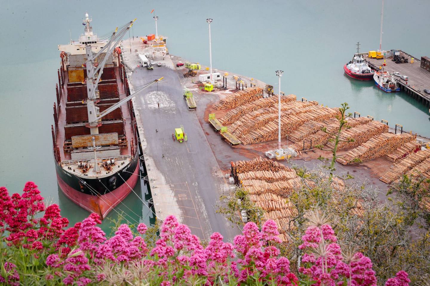 The ship was held offshore while the crew awaited test results. Photo: Warren Buckland / NZH