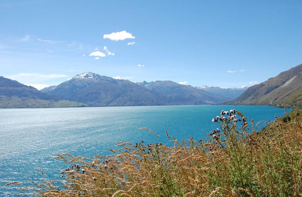 Fishermen first reported algae in Lake Wanaka in the early 2000s. 
