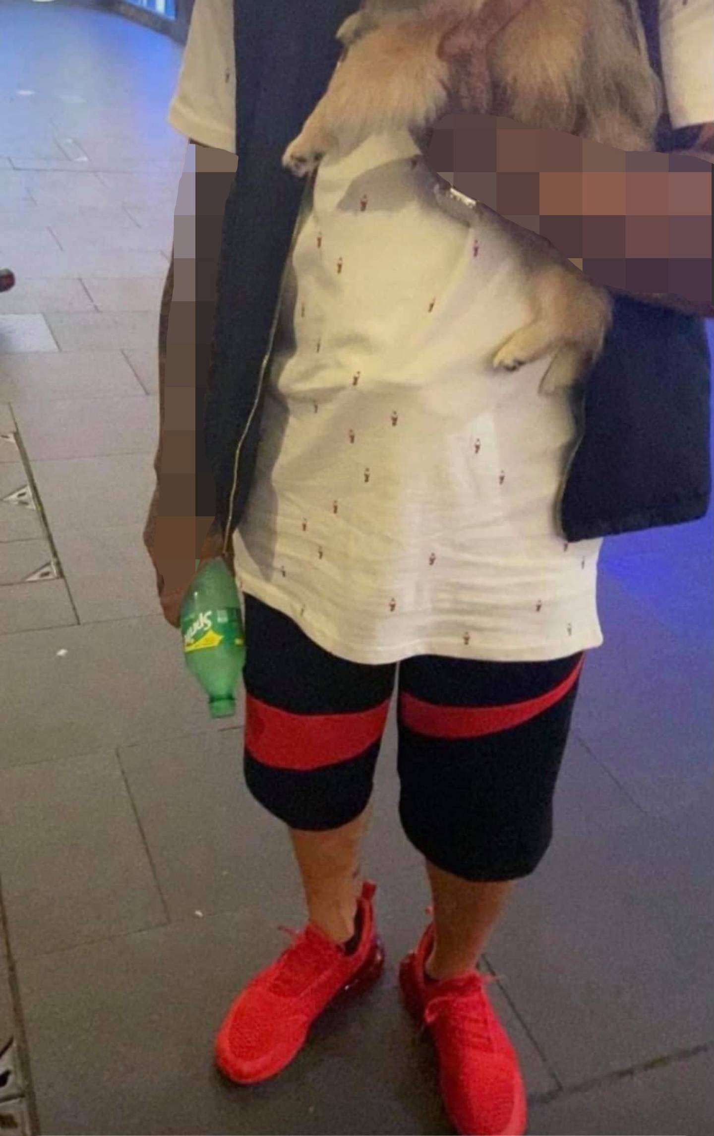 A woman contacted Monique Higgins claiming to have seen Bill early Sunday morning on Queen St....