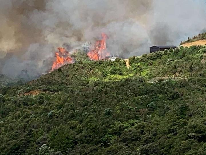 Scrub fire at Pumpkin Hill in the Coromandel. Photo: Coromandel CFM