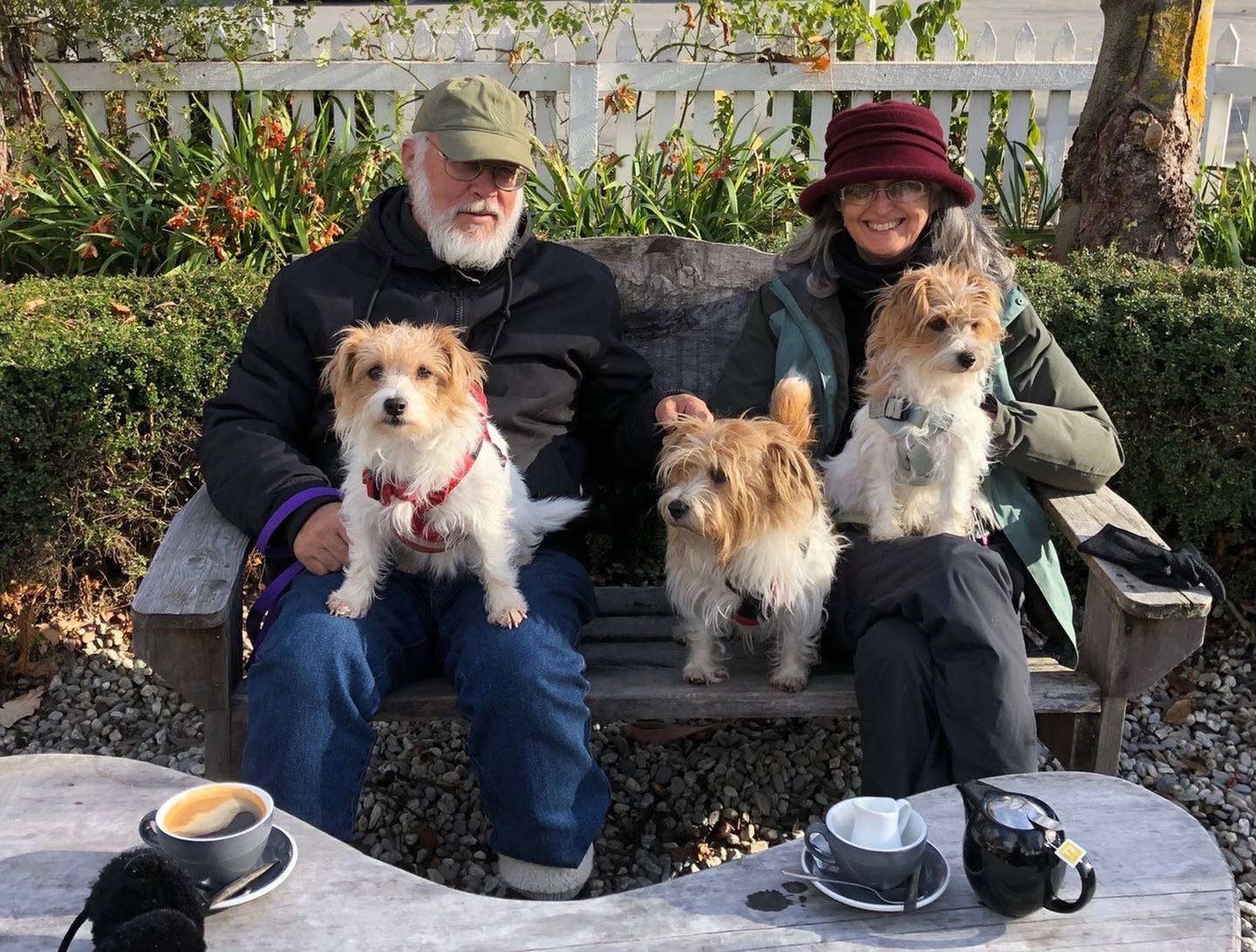 Dr Deborah Mills with husband, James Stewart, and their three dogs. Photo: Supplied via NZ Herald