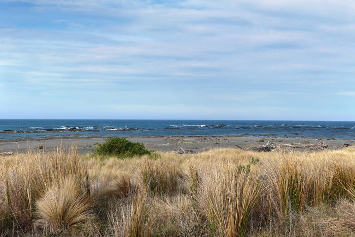 An area of the coastline affected by the Kaikōura earthquake. Photo: Chloe Ranford