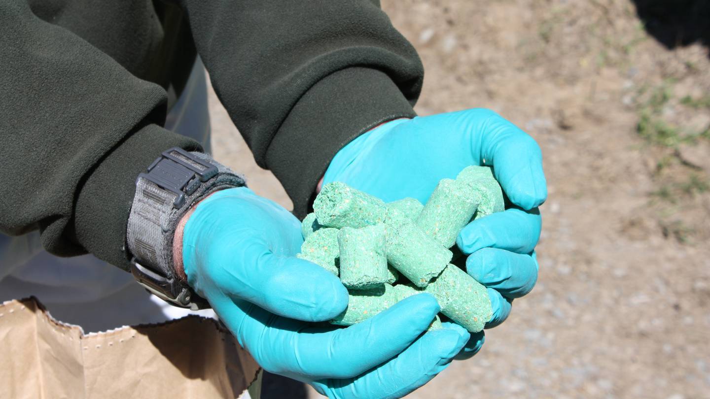 PCR manufactures a variety of pesticide baits, including the pellets containing 1080. Photo: File