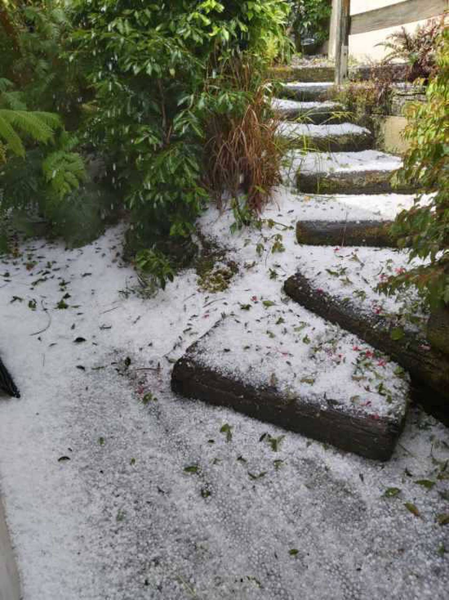 The thunderstorms are tipped to be accompanied by heavy rain and large hail. Photo: Supplied