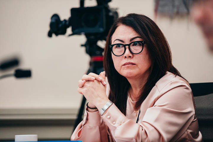 National MP Melissa Lee. Photo: RNZ 