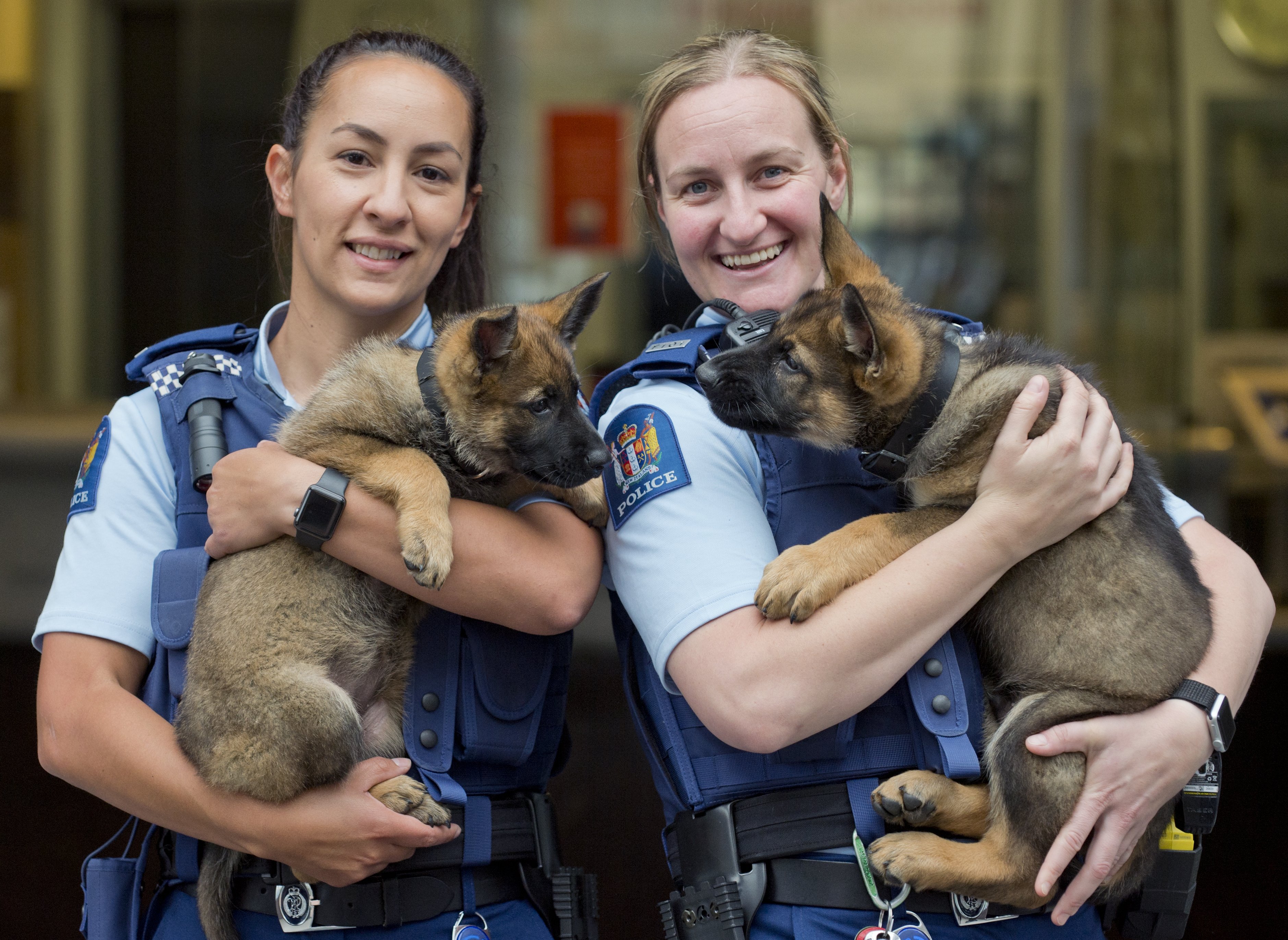 Constable Desiree Hoera (left), holding Harlem, and Constable Larissa Muir, holding Harlie, are...