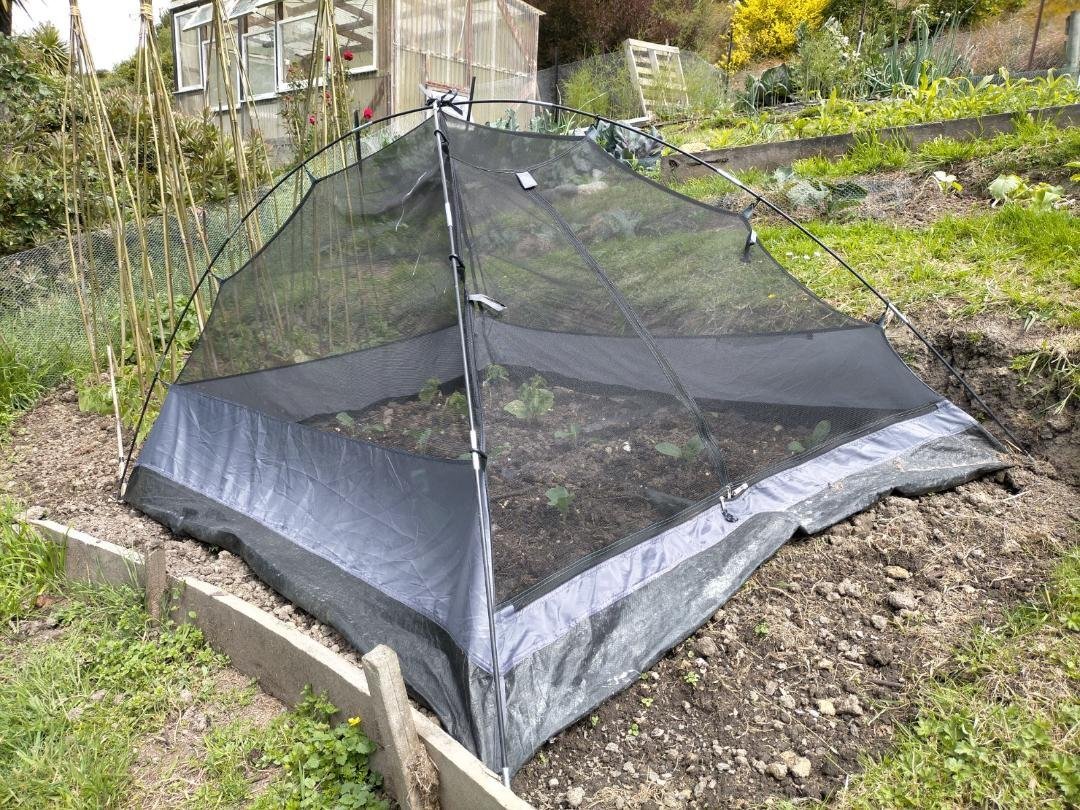 The cloche made from the inner layer of a tent. Photos: Hilary Rowley