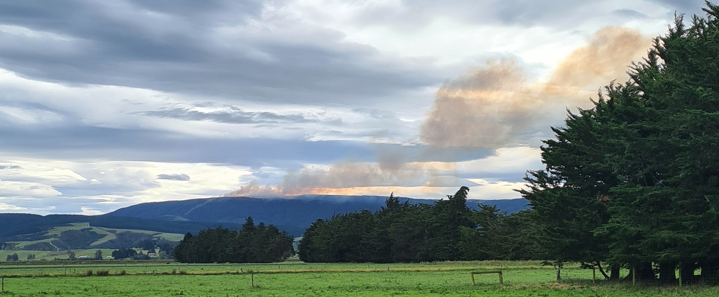 Smoke from the fire at Waipori Falls can be see from as far away as Henley. Photo: Bree Thompson