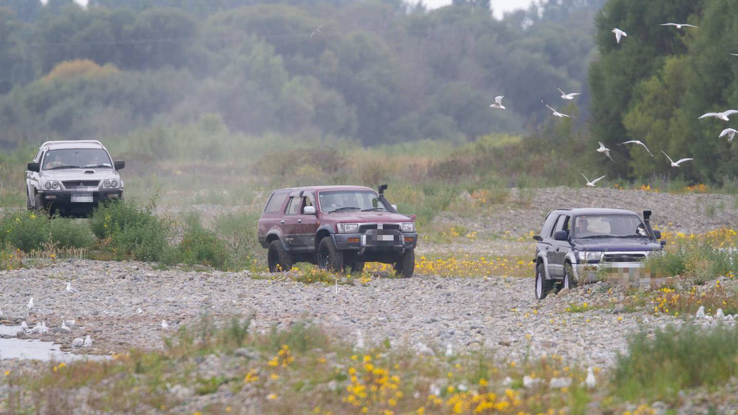 Vehicles racing through the Ashley River where endangered native birds are nesting. Photo: Grant...