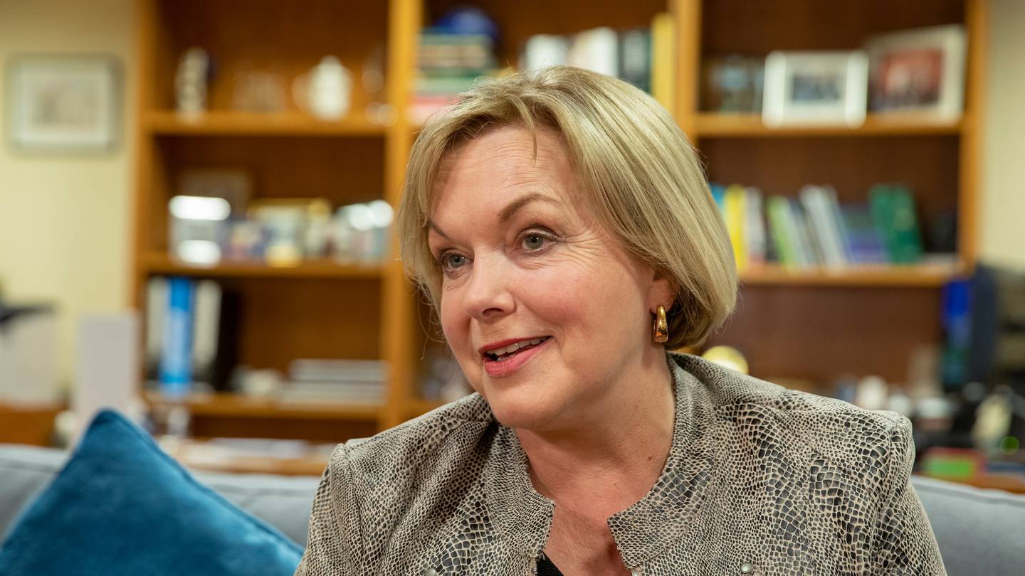 National leader Judith Collins. Photo: NZ Herald