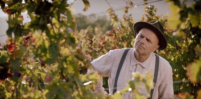Joe Pantoliano stars as Mark Gentile in From the Vine. PHOTO: SUPPLIED