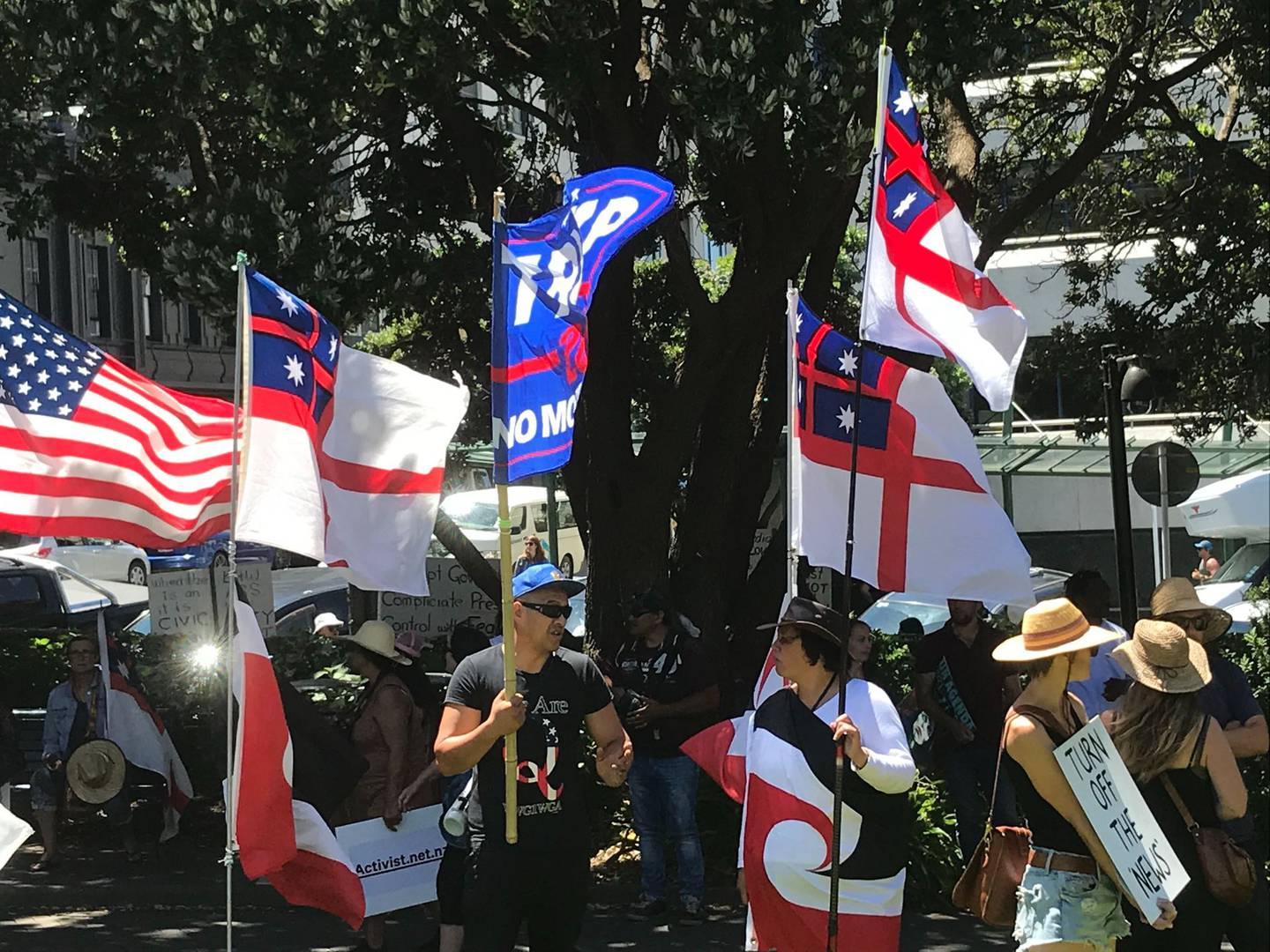 A protest outside NZ Parliament gets underway. Photo: Jason Walls