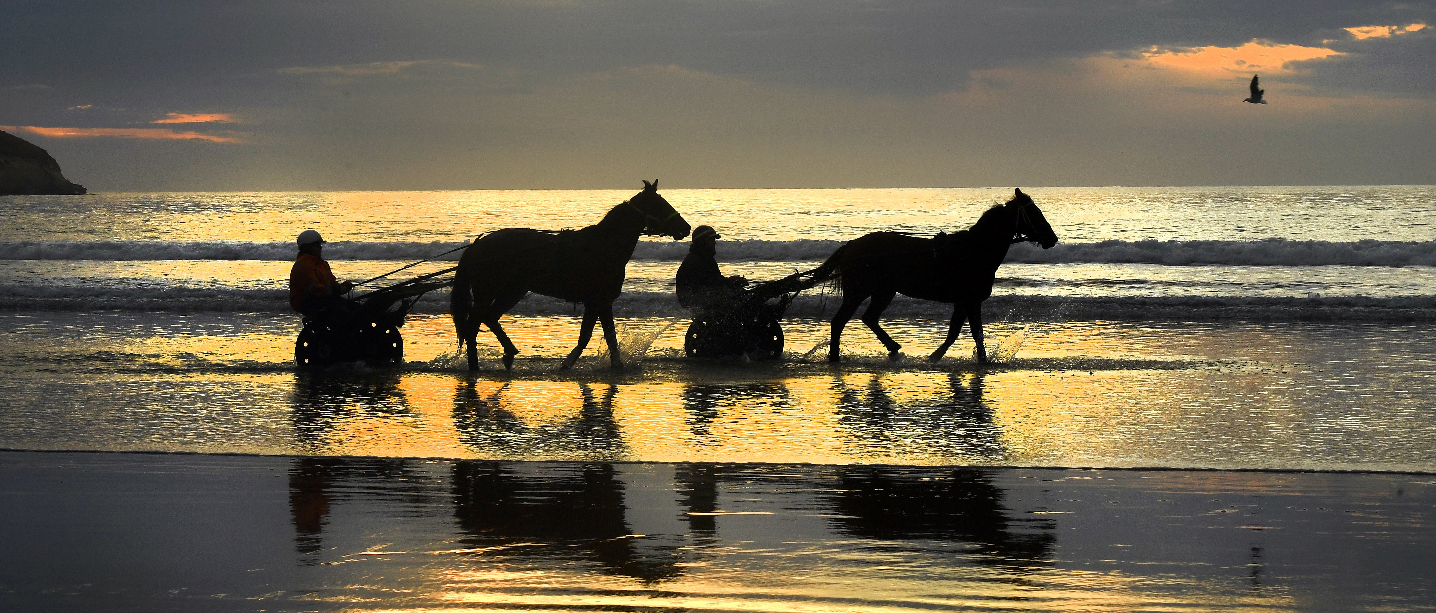 Horses and drivers get wet at Waikouaiti Beach yesterday morning. PHOTO: STEPHEN JAQUIERY