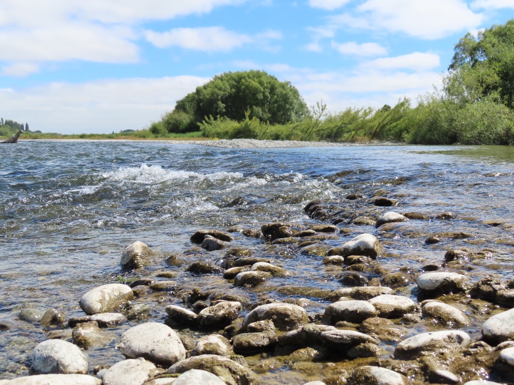 A section of the Ashburton River at Hills Road, which is under a health warning. Photo: Ashburton...