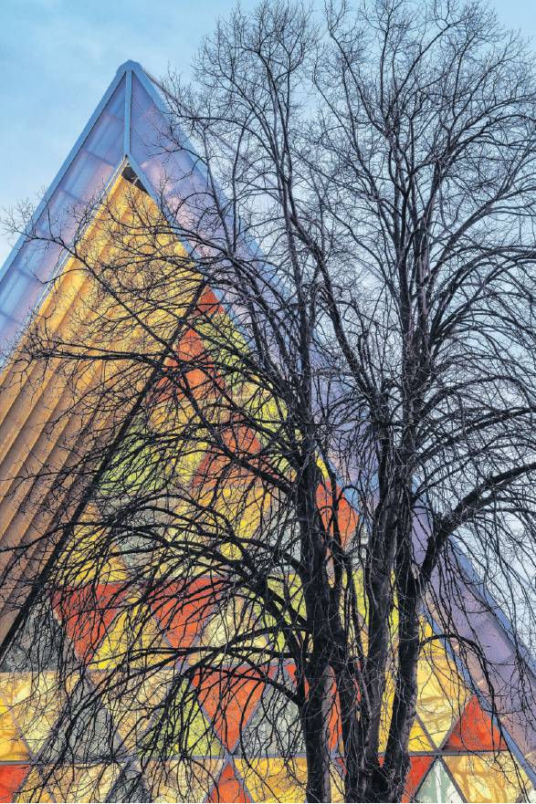 The genesis of the ‘‘Cardboard Cathedral’’ was so serendipitous that some might call it...