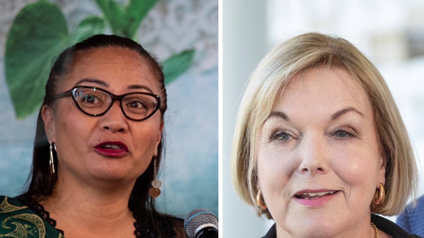 Marama Davidson has criticised Judith Collins for a lack of "cultural expertise". Photos: NZ Herald