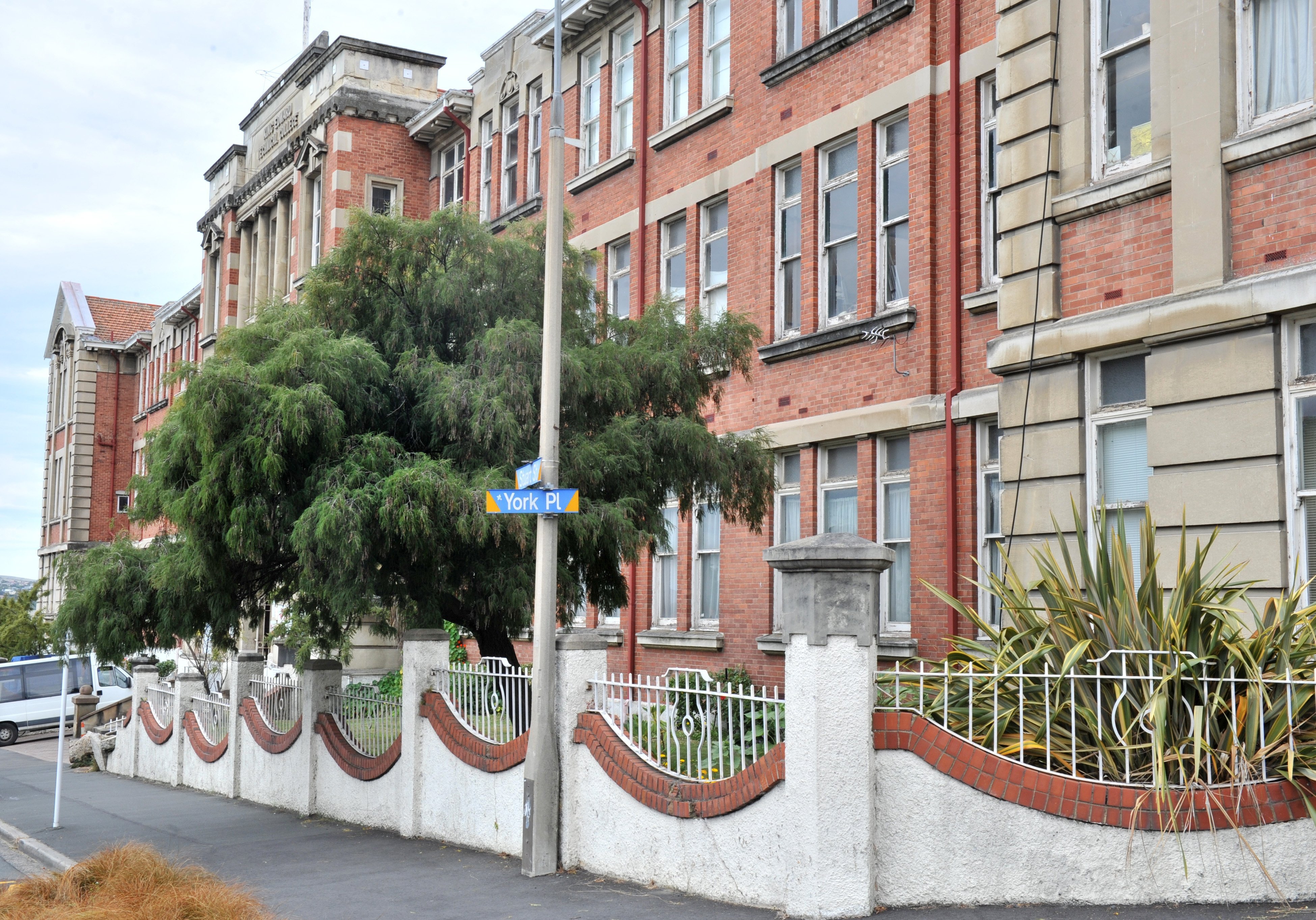 A beautiful mature kowhai leans over the footpath outside the former King Edward Technical...