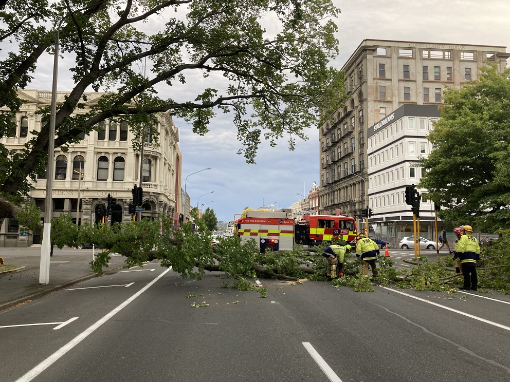 Emergency services members work to clear the tree branch in Crawford St. Photo: Stephen Jaquiery