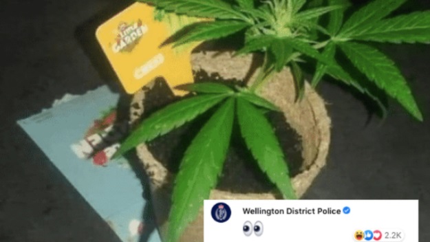 A Facebook user showed off his pot plant. It did not go unnoticed. Photo: Facebook