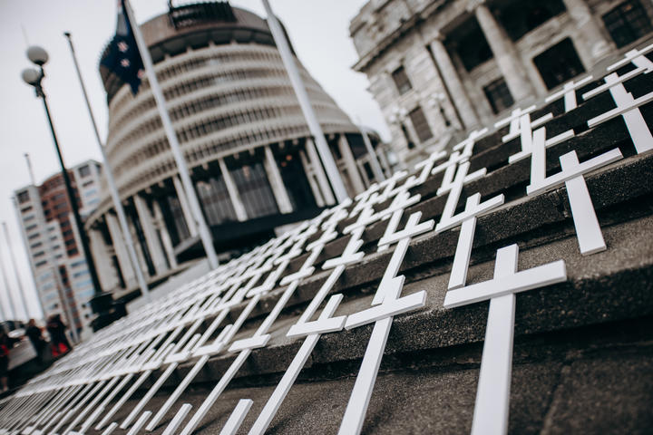 Crosses representing ovarian cancer deaths on the steps of Parliament on Tuesday. Photo: RNZ /...