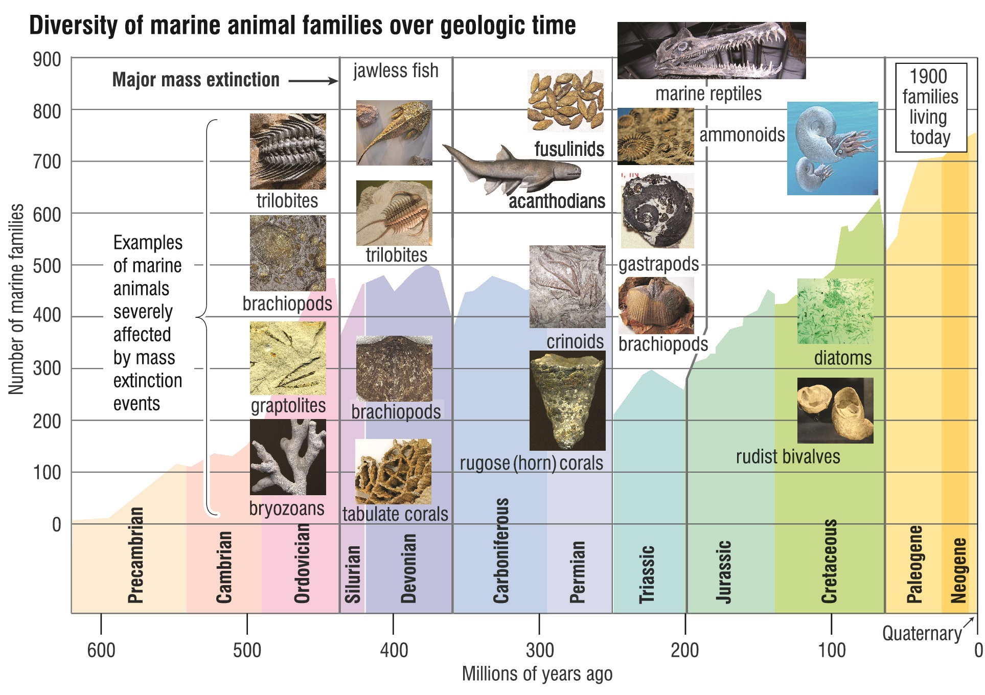 We know of five major extinction events in Earth’s past. Scientists are increasingly worried that...