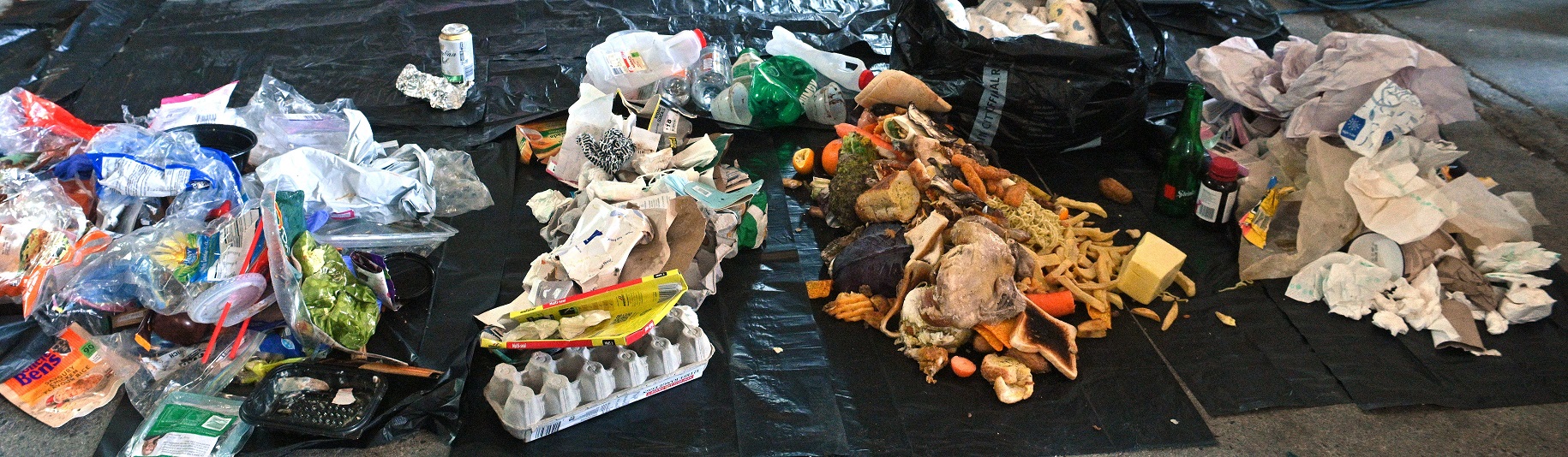 Rubbish from two randomly selected rubbish bags reveals how much waste could be diverted from...