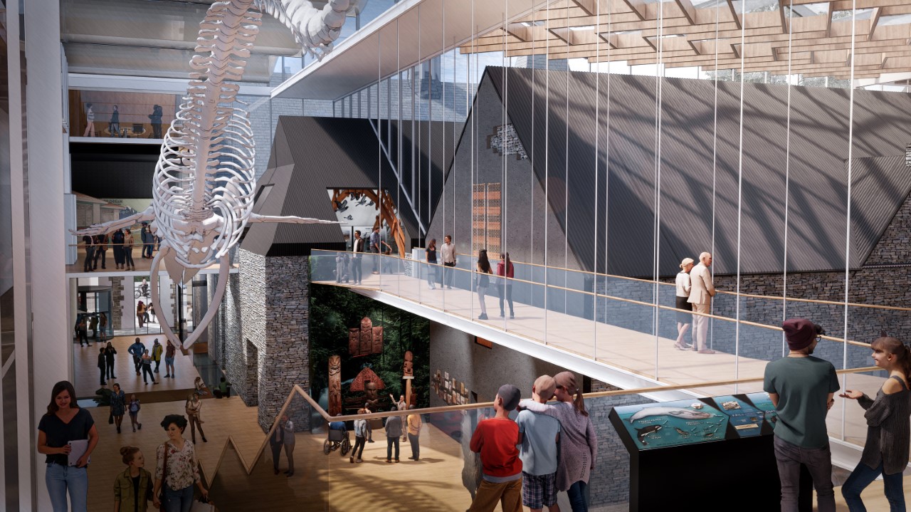 A concept design for the museum's proposed redevelopment shows the blue whale skeleton on display...