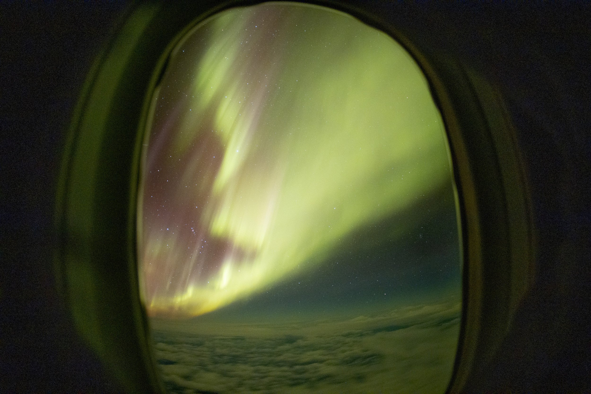 PHOTO: IAN GRIFFIN/OTAGO MUSEUM