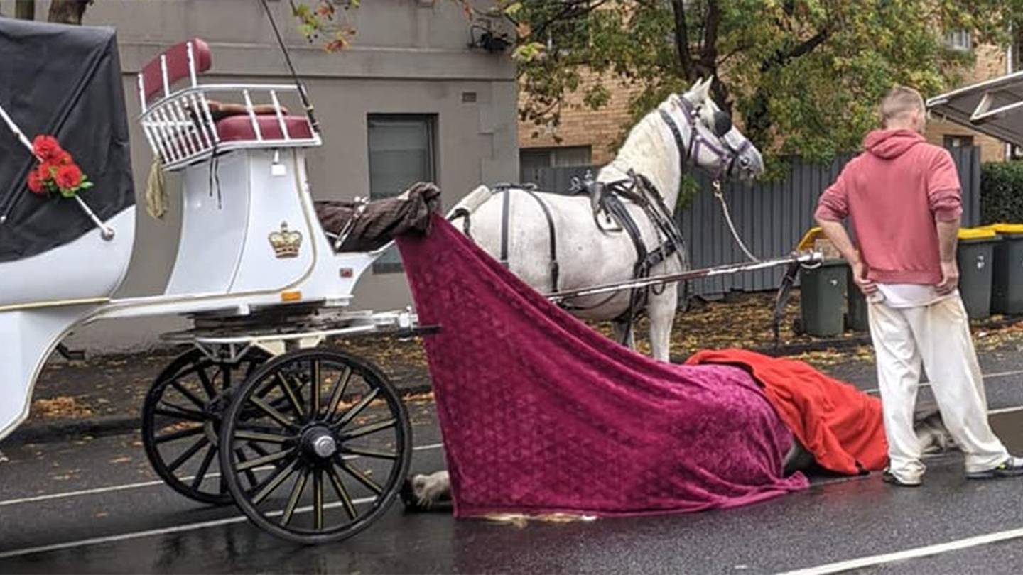Australians are up in arms after a horse pulling a carriage on a busy Melbourne road collapsed...