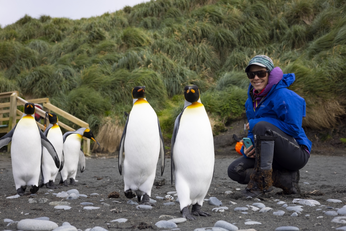 Kimberley Wallace gets up close with King Penguins on Macquarie Island. Photo: Jeff Teda