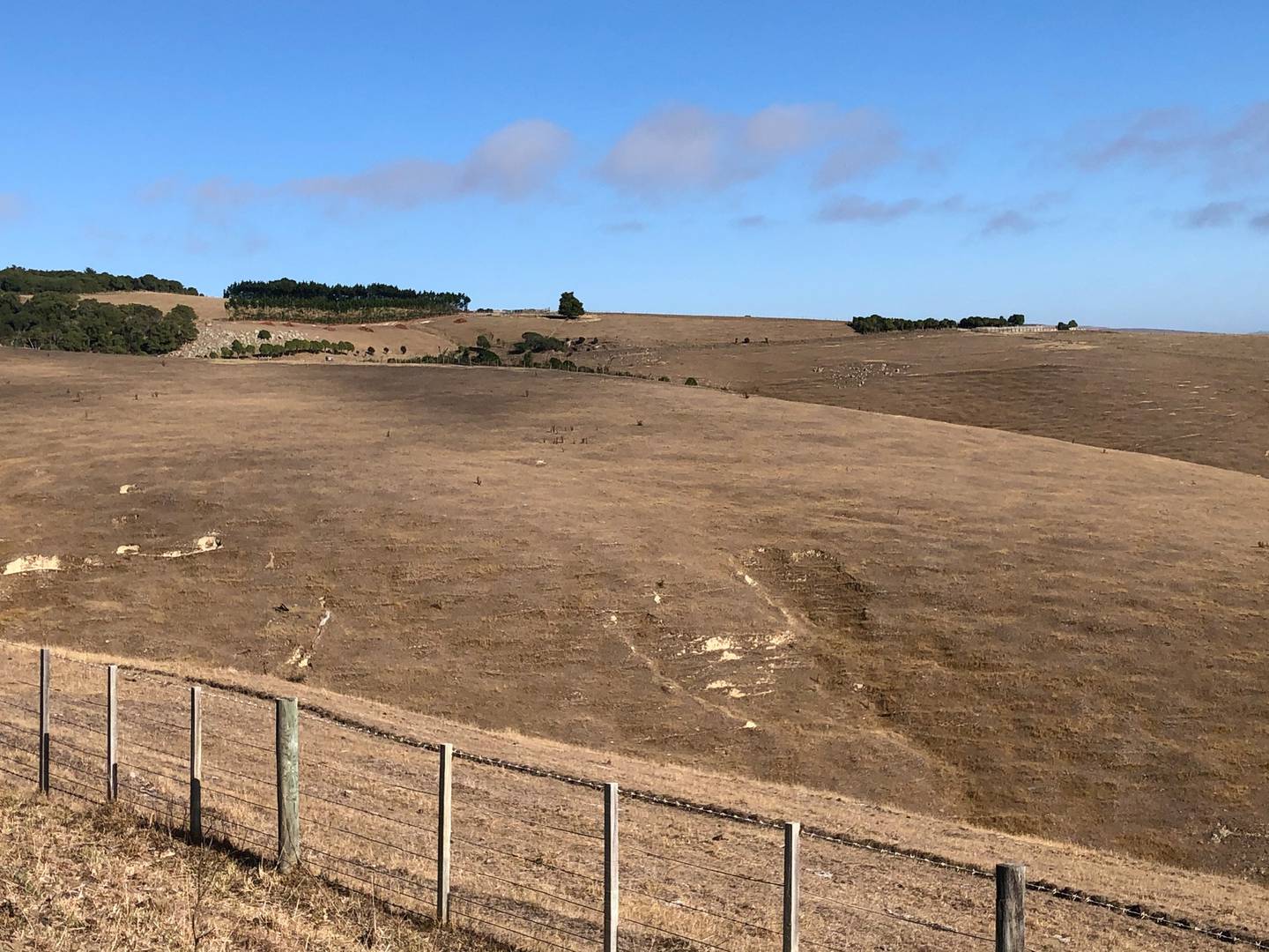 Akaroa Farmer Hamish Menzies says it has been extremely dry at his property for some time. Photo:...