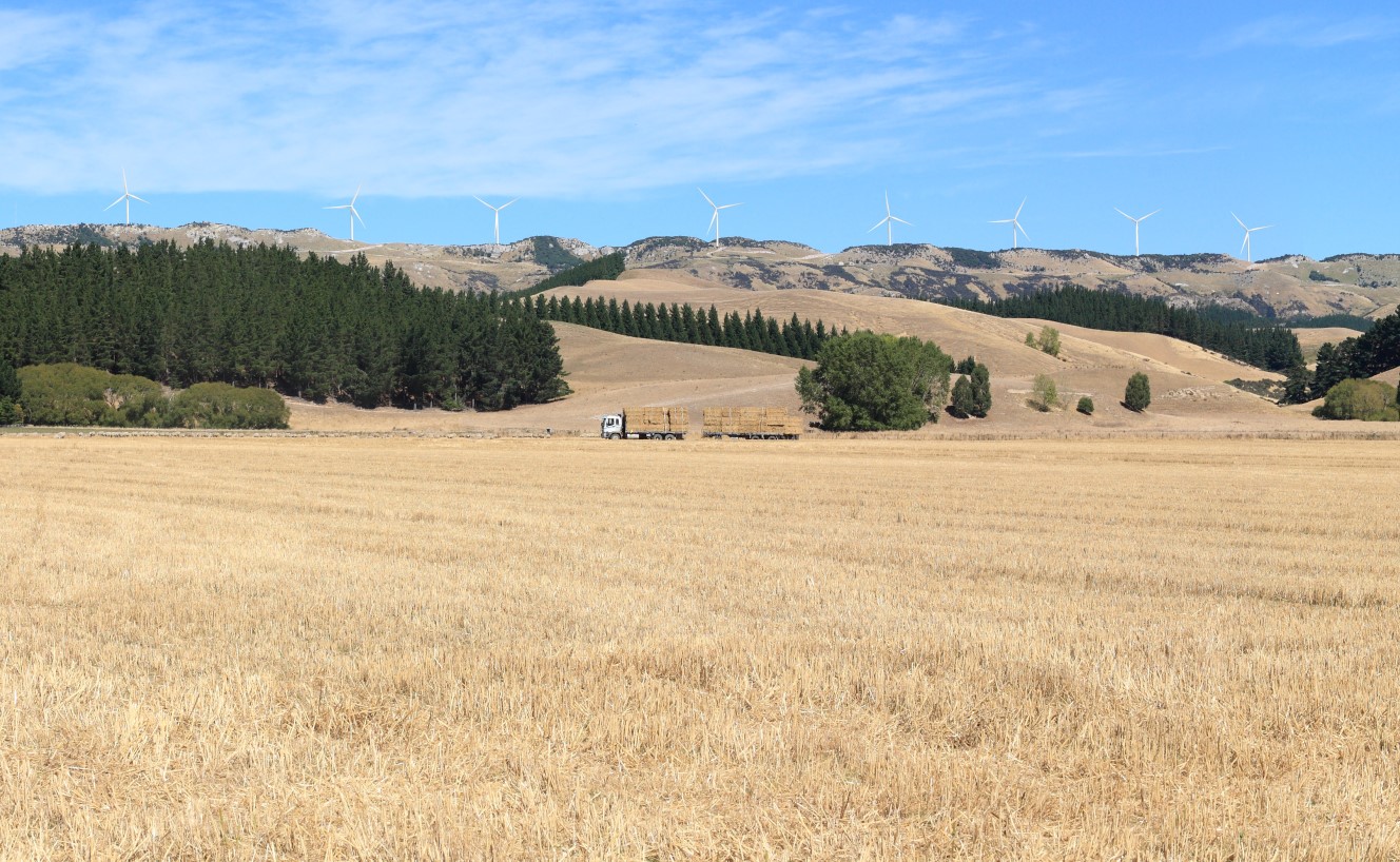 An artist's impression of the wind farm. Image: Supplied