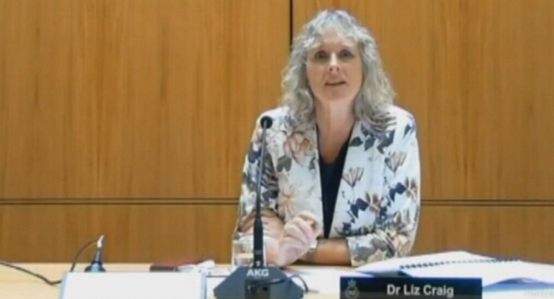 Liz Craig chairs the Health select committee. Image: NZ Parliament 
