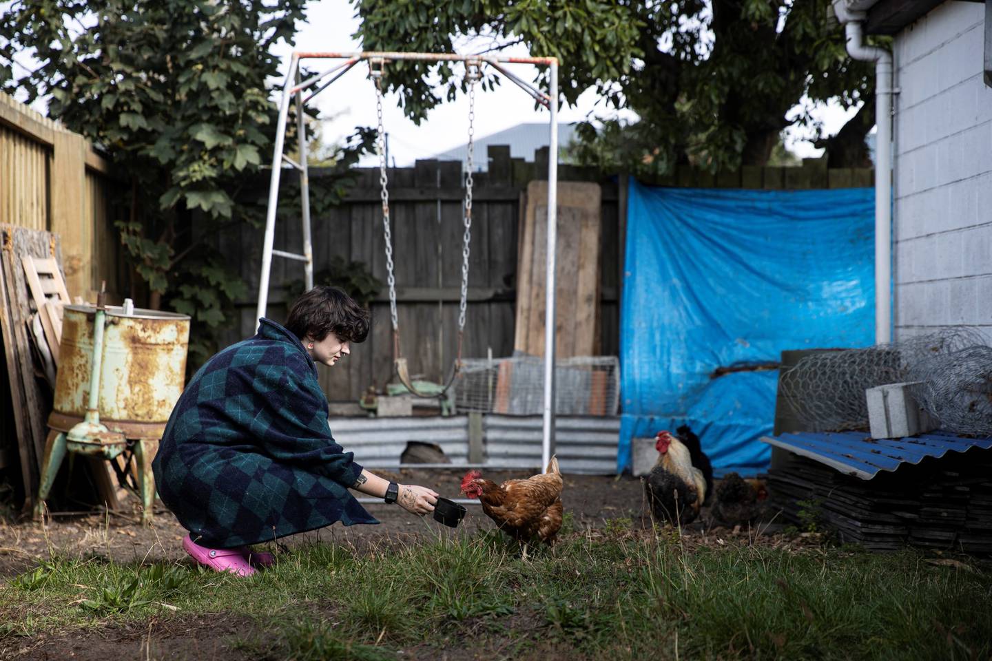 A complaint has been laid over the rooster's crowing at a residential North Beach property in...