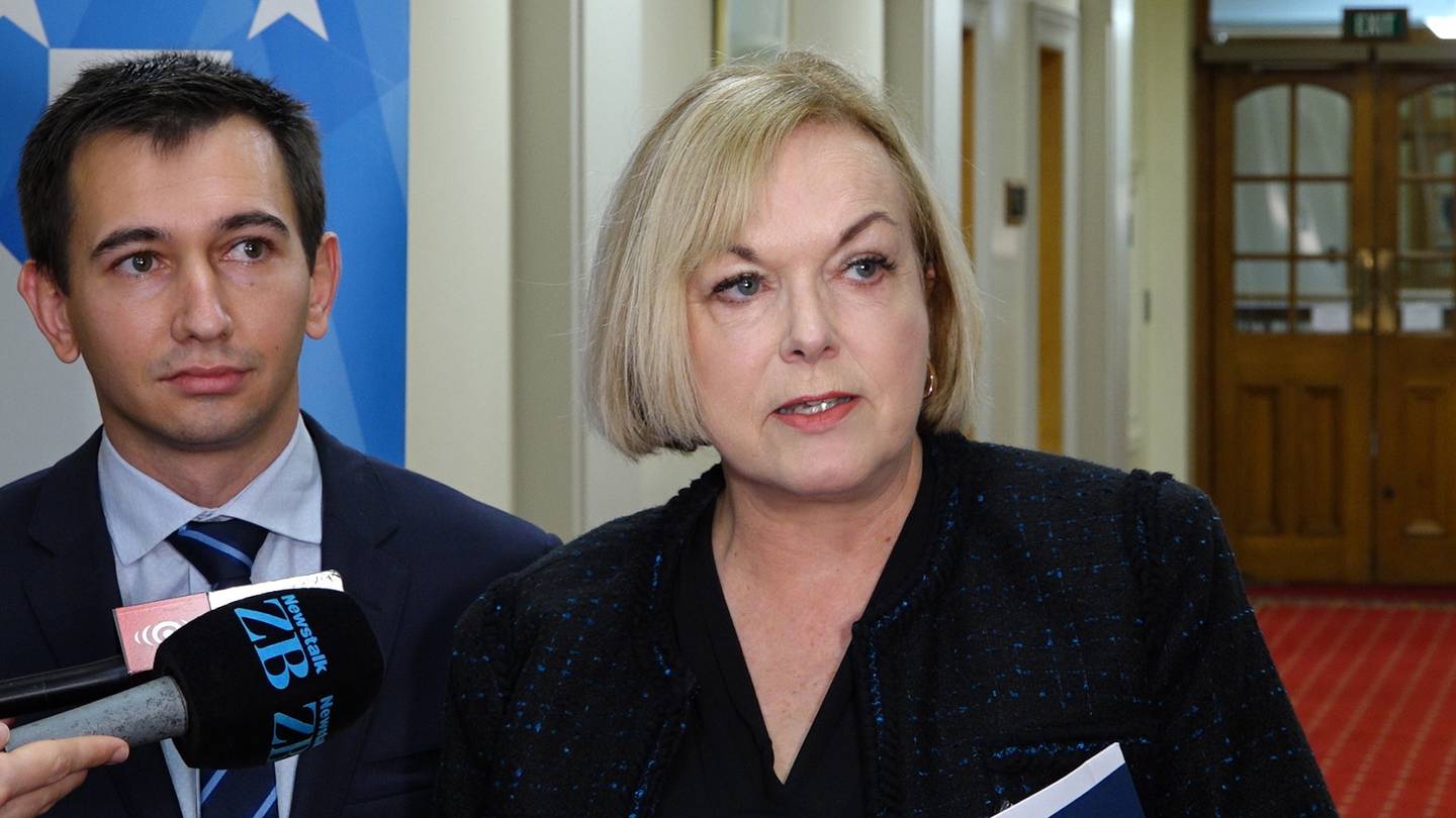 National Party leader Judith Collins. Photo: NZ Herald