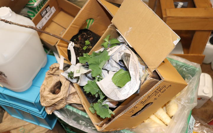 A selection of plants collected from around Hawke’s Bay for Zhang Wang’s new garden in...